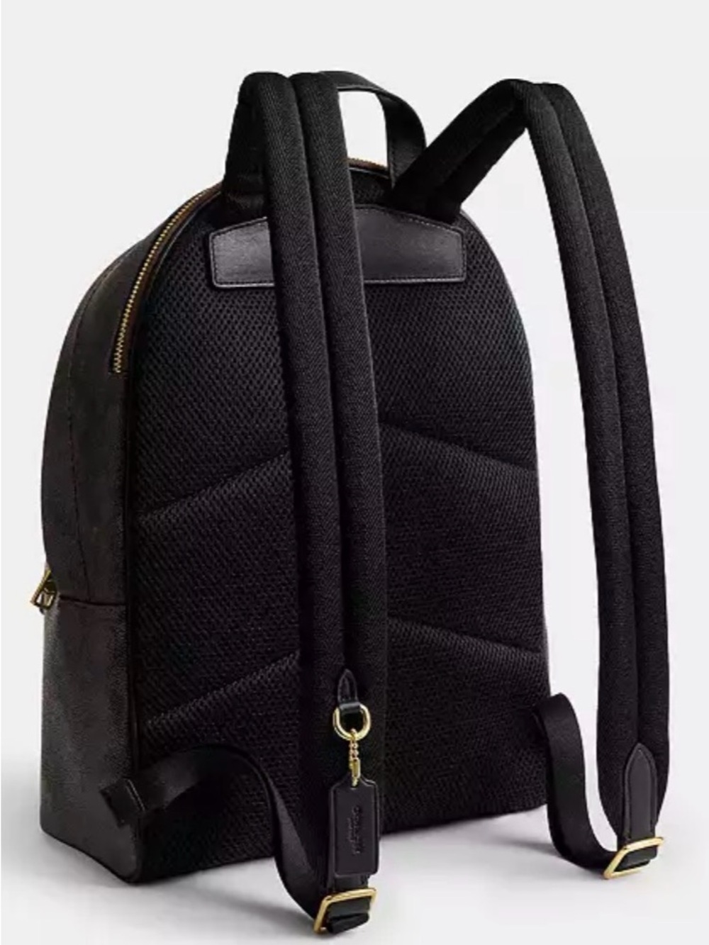 Coach Taylor Backpack In Signature Canvas - Picture 5 of 6